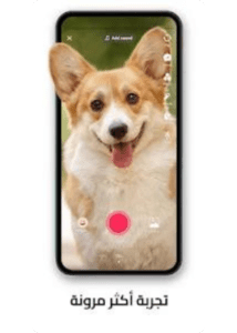 تحميل تيك توك لايت 2025 TikTok Lite APK للاندرويد مجانا 4